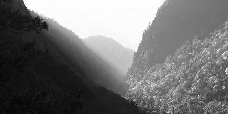 《星火焰火》